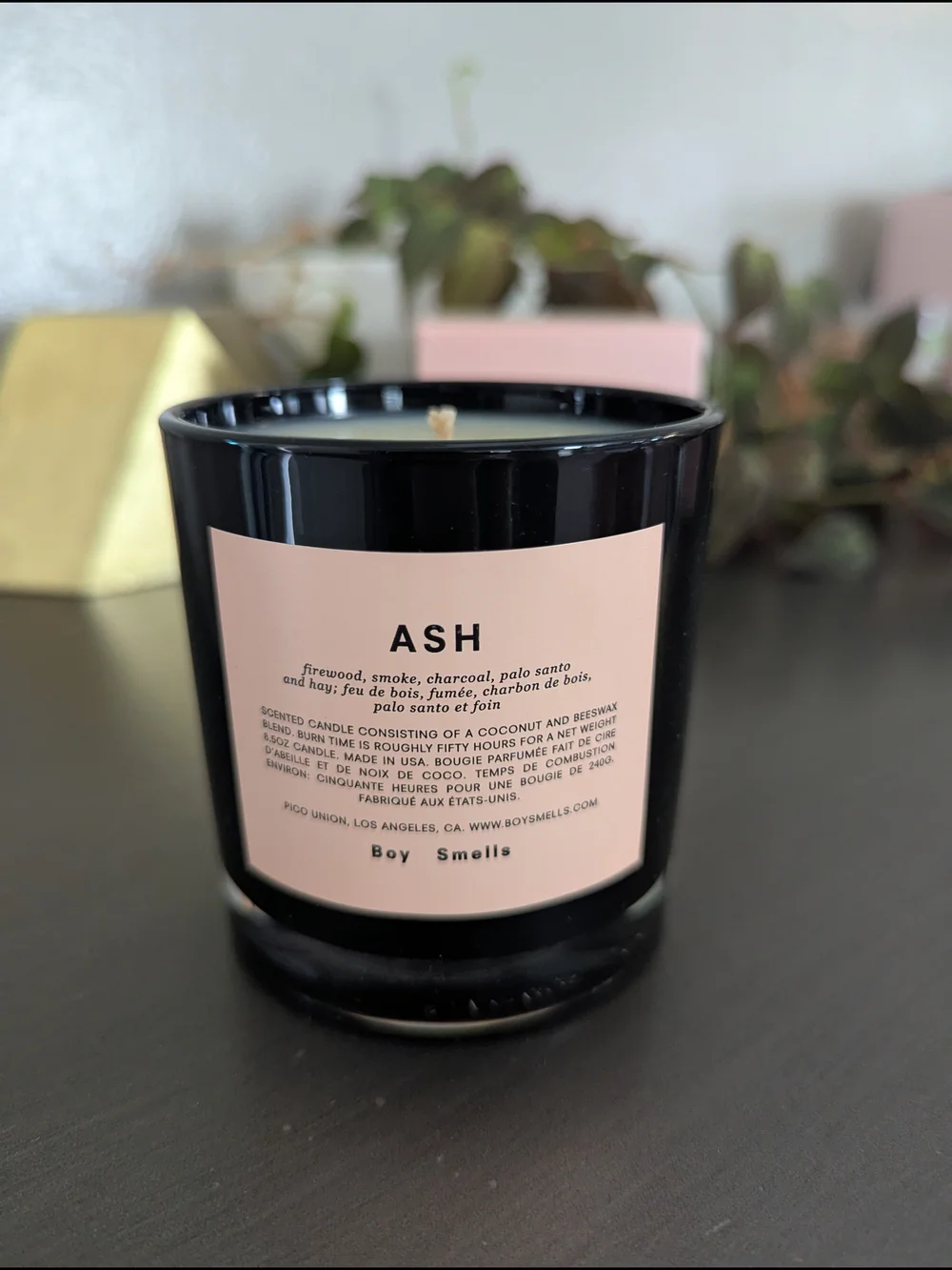 Boy Smells Ash Scented Candle
